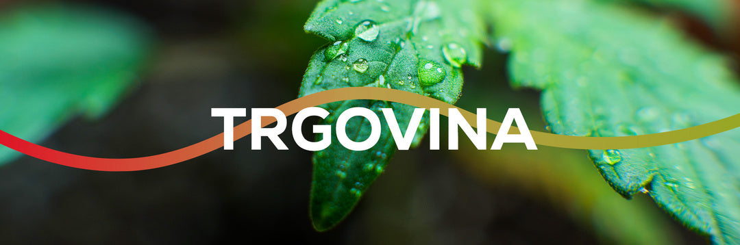 TRGOVINA